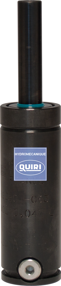 Ressort à gaz RG 250 : RESSORTS A GAZ ISO - Quiri